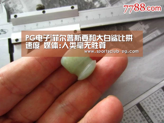 PG电子|菲尔普斯要和大白鲨比拼速度 媒体:人类毫无胜算(图1) PG赛事