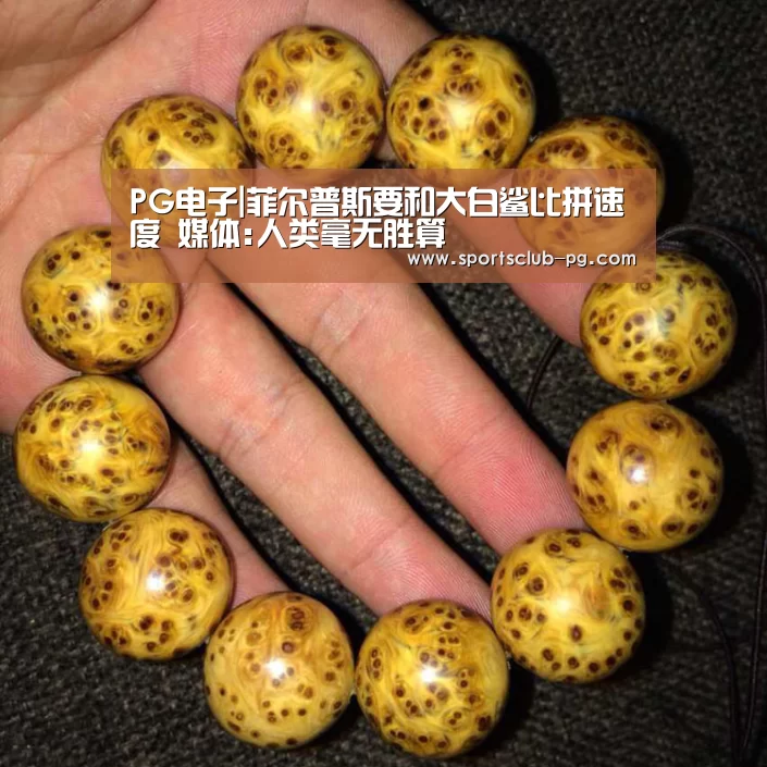 PG电子|菲尔普斯要和大白鲨比拼速度 媒体:人类毫无胜算(图3) PG电子