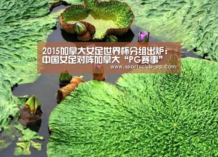 2015加拿大女足世界杯分组出炉:中国女足对阵加拿大“PG赛事”(图3) PG视讯